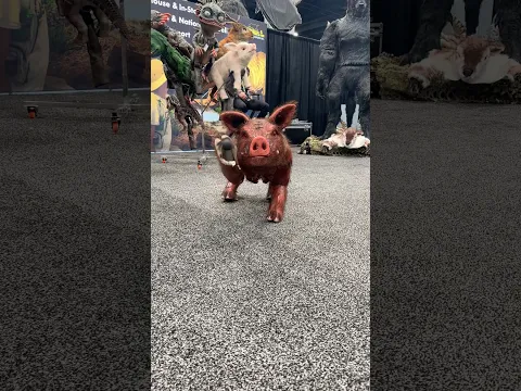 Robot pig! Horror pig Transworld Halloween Oink! #robot #pig #horror #transworld #peppapig