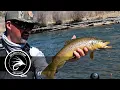 Spring Fly Fishing in Colorado Incredible day float with GFS and CRO
