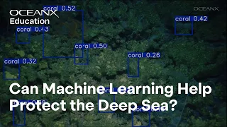 Can We Understand the Deep Sea Fast Enough to Protect It?