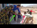 The Battle for Children: Farkhunda, Reza, Ali, and a Turbulent Night.