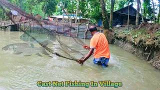 Cast net fishing videos - Traditional cast net fishing in village -  amazon fishing videos