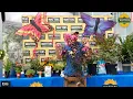 Hot Weather Blooms for Vibrant Prescott Gardens