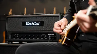 Download Bad Cat Jet Black Guitar Amplifier | Demo and Overview with Peter Arends and Marc Ford MP3