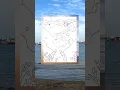 30 Fun and Relaxing Ocean themed Coloring Pages for Kids and Adults