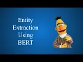 Building an entity extraction model using BERT