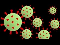 Virus Evolution
