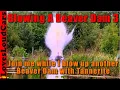 Beaver dam vs Tannerite