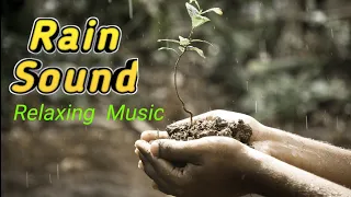 go to sleep with thunder u0026 rain sounds relaxing sounds for insomnia symptoms u0026 sleeping disorders