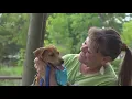 Beaumont Pets Alive strives to keep pets from being euthanized has plenty of available pets during C