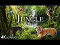 Download Lagu Jungle Wildlife In 4K - Animals That Call The Jungle Home | Rainforest | Scenic Relaxation Film