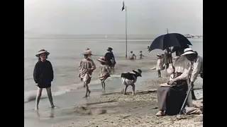             دندنها