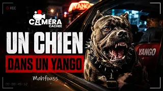 Mahfousse - Caméra Cachée ( Un cheik dans un Yango )