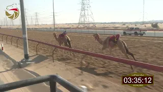 سباق اللقايا سيف العرب 25 10 2025 ش21 الشاهينية لـ سالم ثعلوب سالم الدرعي 6 02 