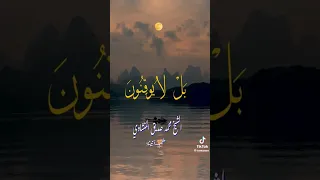 ام خلق من غير شيء  شيخ منشاوي   اجمل تلاوة براوية حمزة     دندنها