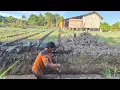 Download Lagu AKSI PAK SUDIWANI; UPAYA PETANI RANTAU BELIAU LINDUNGI TANAMAN DAUN BAWANG DARI BANJIR PASANG SURUT