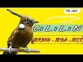 Download Lagu MASTERAN CILILIN JERNIH JEDA JOSS MANTAP (Animasi/kartun)