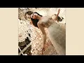 Em Beihold - Scared of the Dark