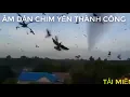 ÂM DẪN THÀNH CÔNG CHO NHÀ YẾN | ÂM DẪN DỤ CHIM YẾN VÀO PHÒNG LÀM TỔ | ÂM THANH NUÔI YẾN THÀNH CÔNG