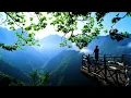 Download Lagu DenYo - Liubov