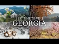 When is the Best Time to Visit Georgia Seasons Guide