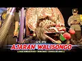 Download Lagu AJARAN WALISONGO voc GEA AYU ROGO SAMBOYO PUTRO - SHAFIRA PRO AUDIO.