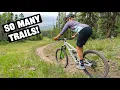 Is This Place Worth It Angel Fire Bike Park