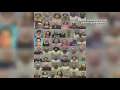 Alamance County law enforcement agencies announce charges in Taking Back the Streets Together ini