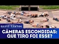 Download Lagu Que Tiro Foi Esse? | Câmeras Escondidas (11/03/18)