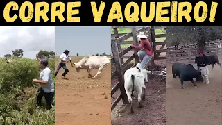 VACA BRAVA e BOI BATEDOR: o terror da roça assombrando vaqueiro medroso