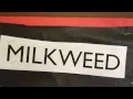 Summary Of Milkweed 1-8