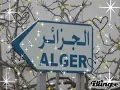mon bled