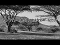 Download Lagu Anchor Media ሃይማኖታዊውና ፖለቲካዊው ኢሬቻ - በድጋሚ የቀረበ