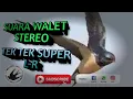 Download Lagu SUARA WALET STEREO - tek tek super stereo anak dan induk