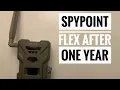 SpyPoint flex camera review after One Year