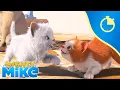 Download Lagu 20 minutes of Mighty Mike // Compilation #2 - Mighty Mike  - Cartoon Animation for Kids