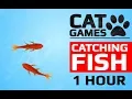 CAT GAMES - 🐟 CATCHING FISH 1 HOUR VERSION (VIDEOS FOR CATS TO WATCH)