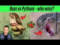 Zoologist Reacts EPIC Boa vs Python TikTok Showdown