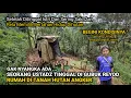 Download Lagu KAGET!! DIKIRA GUBUK REYOD KOSONG TERNYATA DALAMNYA ADA ORANG TINGGAL BERTAHAN HIDUP DI TANAH HUTAN