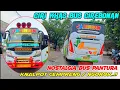 Knalpot Ngorok / Cempreng🔥Identik Ciri Khas Bus Cirebonan Masih Nempel Di Bus Ini❗️