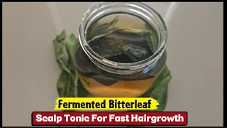 How to Make Fermented Bitter Leaf Scalp Tonic for Rapid Growth and Thickness