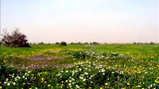 شيلة جديدة ياماخذ تاج الجمال بزمنا كاملة 