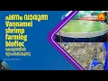 Download Lagu Vannamei shrimp farming biofloc | വനാമി ചെമ്മിൻ കൃഷി കേരളത്തിൽ വ്യാപകമാകുന്നു