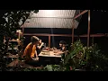 Download Lagu PANEN Timun dan  Makan malam Sekeluarga di Kebun