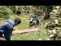 Download Lagu beginilah perjuangan buruh upah 100 ribuan,mengambil potongan kayu jati dari lereng gunung