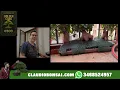 Download Lagu SE LA CANTA E SE LA SUONA DA SOLO PROPRIO COME IL DIO DEL BONSAI