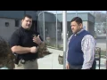 Laurens County Sheriff Booking Process