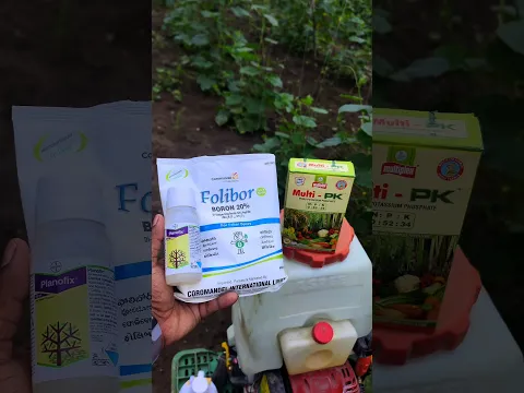 सब्जियों में फल फूल बढ़ाने के लिए मास्टर कॉम्बिनेशन💧🌿