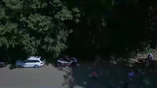                         دندنها