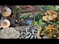 Download Lagu Sariwang Dulong at Galunggong sa Bahay Kubo, niluto gamit ang simpleng rekado sa bakuran