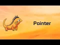 Zig Pointer Tutorial 11